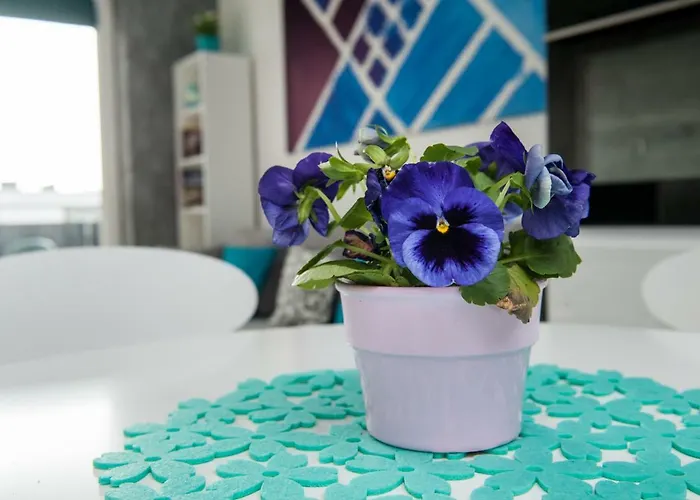 Winogrady Hawelańska * Poznań